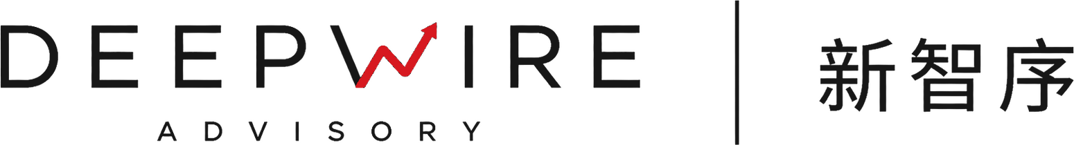 新智序咨询 Deepwire Advisory logo