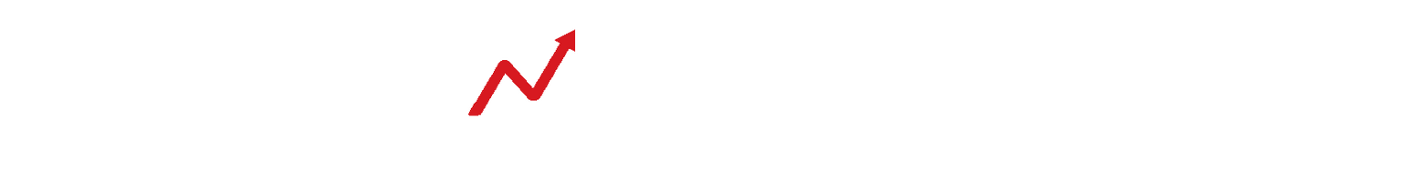 新智序咨询 Deepwire Advisory logo